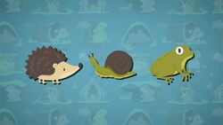 I WONDER - How Long Does Hibernation Last? Me Pregunto - Cuánto Dura La Hibernación? Instructional Video