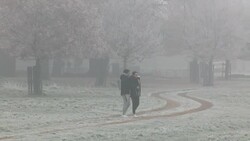 Cold weather in Richmond Park News Clip