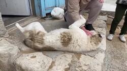 Geography GO! TURKMENISTAN Instructional Video