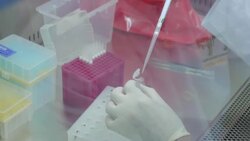 Scientists work to develop covid-19 vaccine News Clip