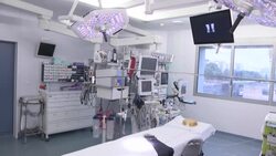 CLEAN : Artificial intelligence an extra tool in the operating room at Strasbourg hospital News Clip