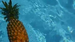Pineapple Floating In blue Water In Swimming Pool. Healthy Raw Organic Food. Juicy Fruit. Vegetarian, Vegan Nutrition, Vitamins, Diet, summer holidays, vacation concepts. Exotic tropical background Stock Footage