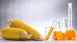 What Are Ecosystem Services? Instructional Video