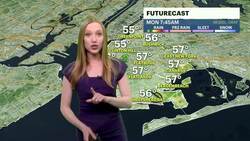 Sunny skies and mild temperatures in Brooklyn News Clip