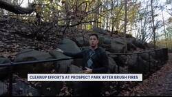 Prospect Park Alliance assesses damage left in wake of Prospect Park fire News Clip