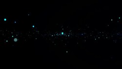 Particles abstract flares motion background Stock Footage