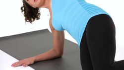 How to Do a Side Plank with Hip Lifts Instructional Video