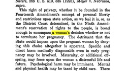 Abortion law: Roe vs Wade and the US constitution Instructional Video