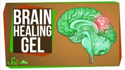 The New Gel That Regrows Brains Instructional Video