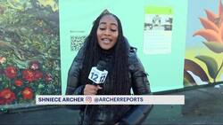 'Park of Dreams' art installation takes over Grand Army Plaza News Clip