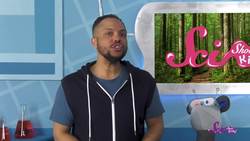 From the Ground to the Sky: The Layers of the Redwood Forest Instructional Video