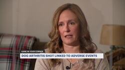 Kane in Your Corner: FDA warns of adverse effects, including death, from dog arthritis drug Librela News Clip