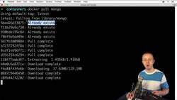 The Complete Practical Docker Guide - Pulling Mongo Image and Creating the First Mongo Container Instructional Video
