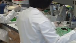 Naming Ionic Compounds Instructional Video