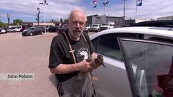 #TheMoment a Saskatoon couple rescued and released a family of ducks News Clip