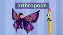 Life Science: The Life Cycle Instructional Video