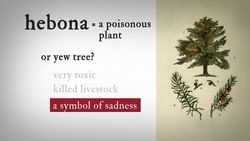 Hamlet 1.5 Word Nerd: Hebona Instructional Video