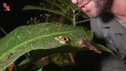 YIKES! GIANT STABBING ROACH! Instructional Video