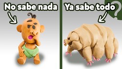 ¿Por qué los humanos nacemos ignorantes? Instructional Video