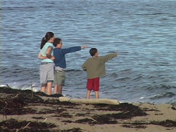 Investigando el agua: introducción Instructional Video