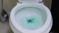 How to Fix a Toilet Flange Instructional Video