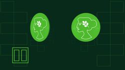 MATHS - Statistics - Probability Part 1 Instructional Video