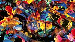 Survival is a struggle in the rubble of Yemen's war News Clip