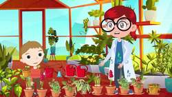 How Plants Grow Instructional Video