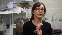 Some Canadian bottled water test positive for microplastics News Clip