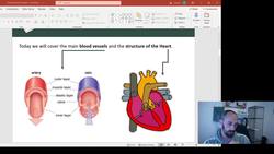 Last minute GCSE PE revision 2021 assessments Instructional Video