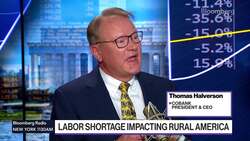 Halverson on High Commodity Prices News Clip