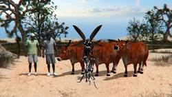 Mosquitoes evolved to favor human blood in arid environments: study Instructional Video