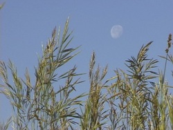 Explorando la Tierra, el sol y la luna: introducción Instructional Video