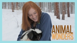 Snowy Skunk Adventure Instructional Video