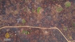 Brazil declares emergency over deaths of indigenous children News Clip