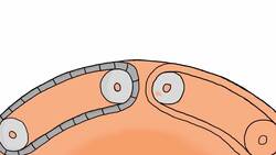 Plate Tectonics Explained Instructional Video