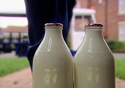 Microbes in Milk Instructional Video