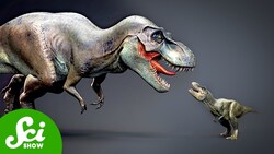 The Tiny T. rex Causing a Big Science Feud Instructional Video