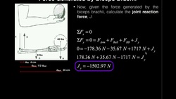 Biomechanics | Torque Problem #1b (Elbow Joint) [Calculate Joint Reaction Force] Instructional Video