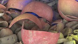 A roundup of the best art from the region in 2019 Instructional Video