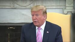 Trump: Not looking to reinstate family separation Instructional Video