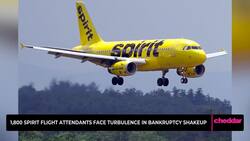 1,800 Spirit Flight Attendants Face Turbulence in Bankruptcy Shakeup News Clip