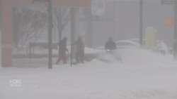 Snowstorm pounds Saskatoon as residents dig out News Clip