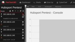 How Can Pentest.ws Help You Instructional Video