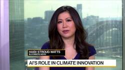 Google's Brandt on Catalyzing Climate Innovation News Clip