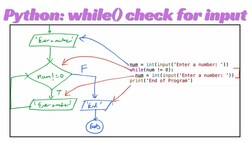 Python Lesson28: while loop to check for a number Instructional Video
