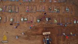 Brazil protests: Mass rally against gov’t response to outbreak News Clip