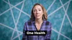 How Does Public Health Tackle Outbreaks? Crash Course Outbreak Science Instructional Video