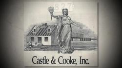 How US Destroyed Hawaiian Culture Instructional Video