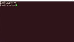 How to use the bash shell debugging mode: 2-Minute Linux Tips Instructional Video